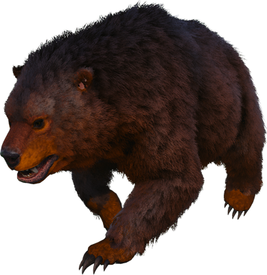 S-Direbear
