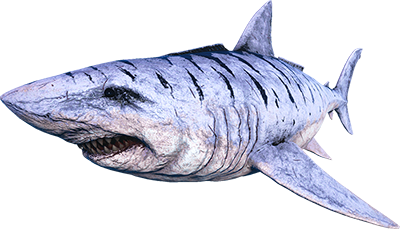 S-Megalodon