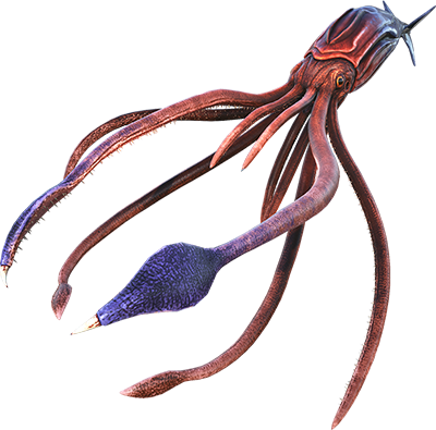 Tek Tusoteuthis